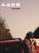 掌握网站首页内链优化方案，实现SEO指数稳步提升